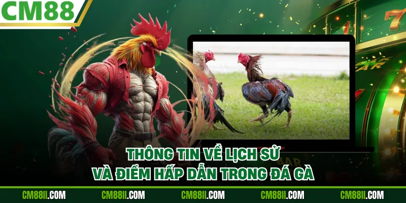 Thông tin về lịch sử và điểm hấp dẫn trong đá gà